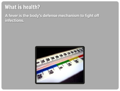 ss-slide10