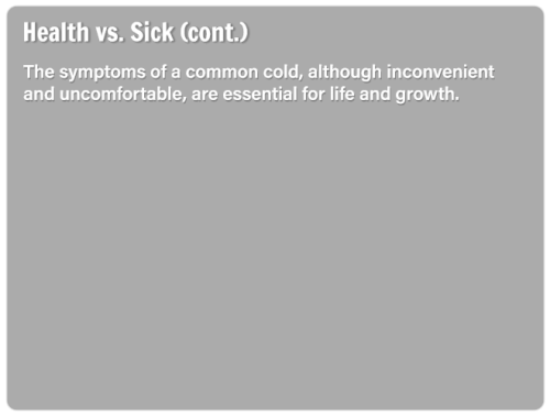 ss-slide12