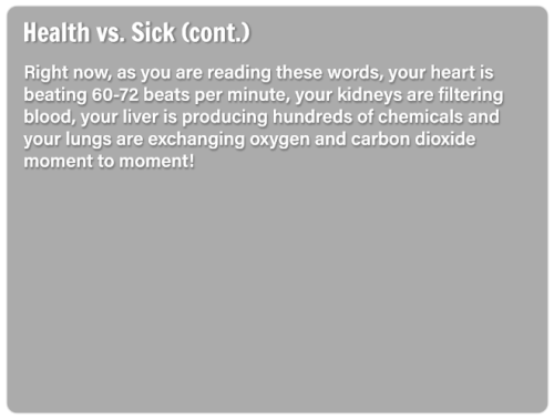 ss-slide13