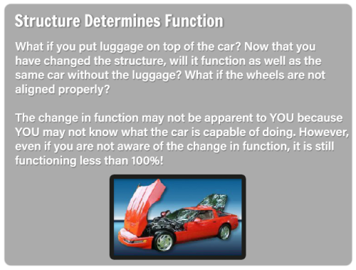 ss-slide17