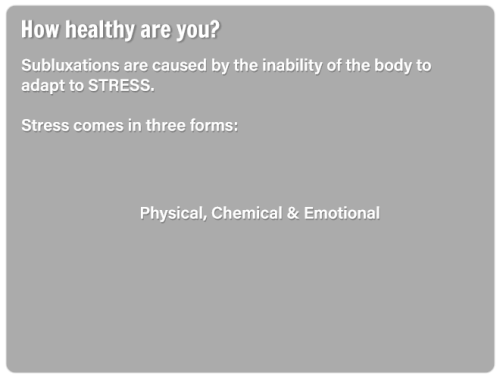 ss-slide21c