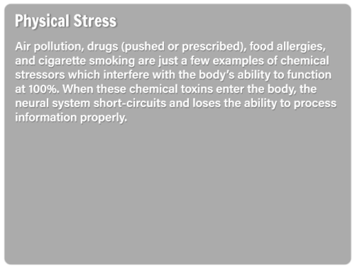 ss-slide23
