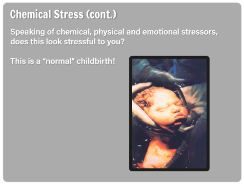 ss-slide25